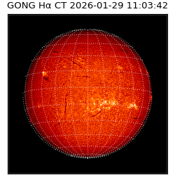 gong - 2026-01-29T11:03:42