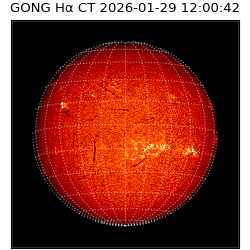 gong - 2026-01-29T12:00:42