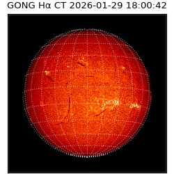 gong - 2026-01-29T18:00:42