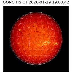 gong - 2026-01-29T19:00:42