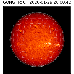 gong - 2026-01-29T20:00:42