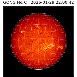 gong - 2026-01-29T22:00:42