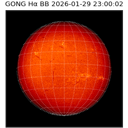 gong - 2026-01-29T23:00:02
