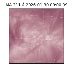 saia - 2026-01-30T09:00:09.626000