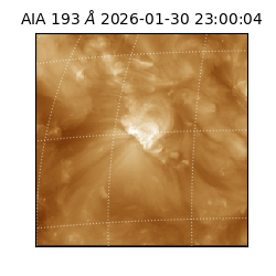 saia - 2026-01-30T23:00:04.846000