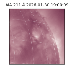 saia - 2026-01-30T19:00:09.626000