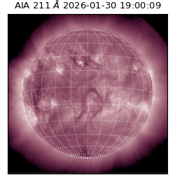 saia - 2026-01-30T19:00:09.626000