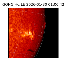 gong - 2026-01-30T01:00:42