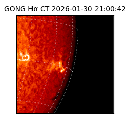 gong - 2026-01-30T21:00:42