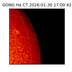 gong - 2026-01-30T17:00:42