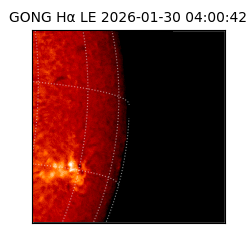 gong - 2026-01-30T04:00:42