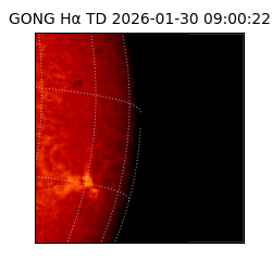 gong - 2026-01-30T09:00:22