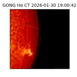 gong - 2026-01-30T19:00:42