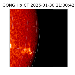 gong - 2026-01-30T21:00:42