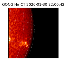 gong - 2026-01-30T22:00:42