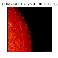 gong - 2026-01-30T12:00:42