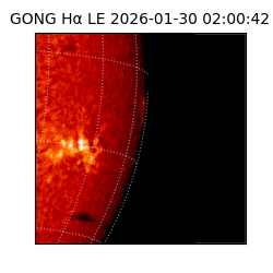 gong - 2026-01-30T02:00:42