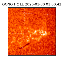 gong - 2026-01-30T01:00:42