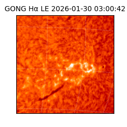 gong - 2026-01-30T03:00:42