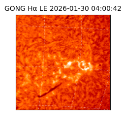 gong - 2026-01-30T04:00:42