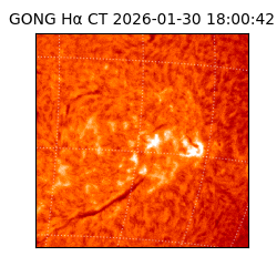 gong - 2026-01-30T18:00:42