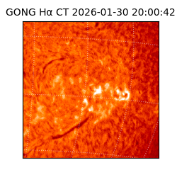 gong - 2026-01-30T20:00:42