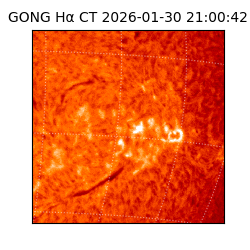 gong - 2026-01-30T21:00:42