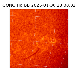 gong - 2026-01-30T23:00:02