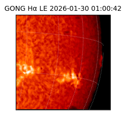 gong - 2026-01-30T01:00:42
