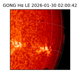 gong - 2026-01-30T02:00:42