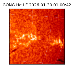 gong - 2026-01-30T01:00:42