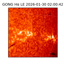 gong - 2026-01-30T02:00:42