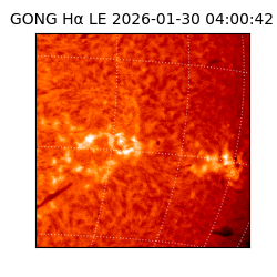 gong - 2026-01-30T04:00:42