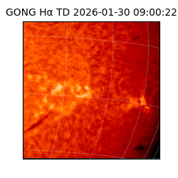 gong - 2026-01-30T09:00:22