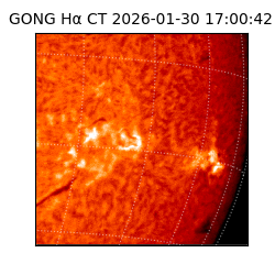 gong - 2026-01-30T17:00:42