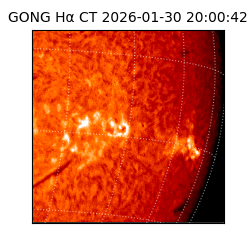 gong - 2026-01-30T20:00:42