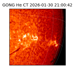 gong - 2026-01-30T21:00:42