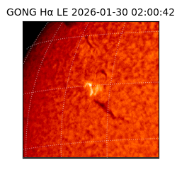 gong - 2026-01-30T02:00:42