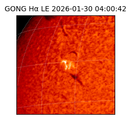 gong - 2026-01-30T04:00:42