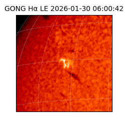 gong - 2026-01-30T06:00:42