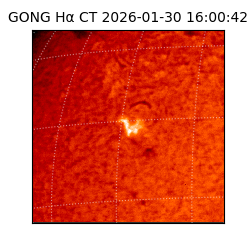 gong - 2026-01-30T16:00:42