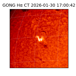 gong - 2026-01-30T17:00:42