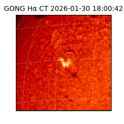 gong - 2026-01-30T18:00:42