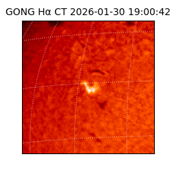 gong - 2026-01-30T19:00:42