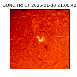 gong - 2026-01-30T21:00:42