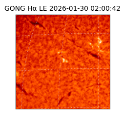 gong - 2026-01-30T02:00:42