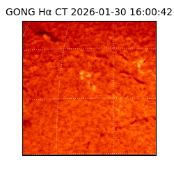 gong - 2026-01-30T16:00:42