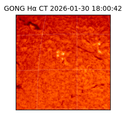 gong - 2026-01-30T18:00:42