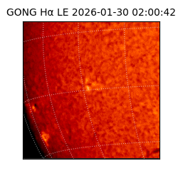 gong - 2026-01-30T02:00:42