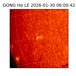 gong - 2026-01-30T06:00:42